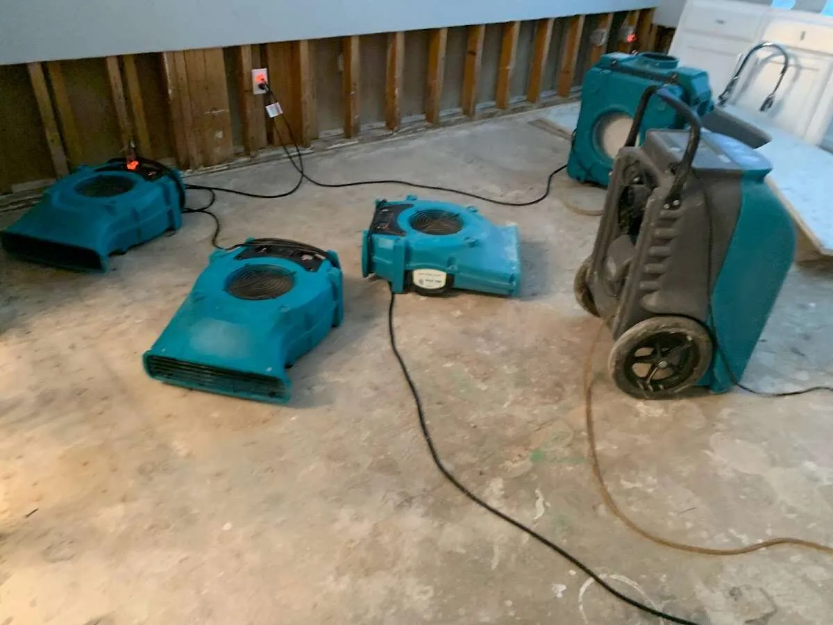 Water Damage Restoration services in South Whittier, CA
